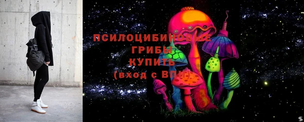 шишки Беломорск