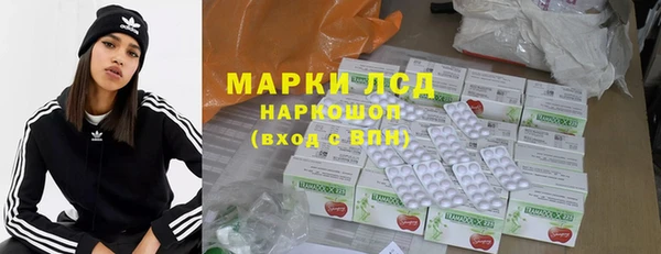 шишки Беломорск