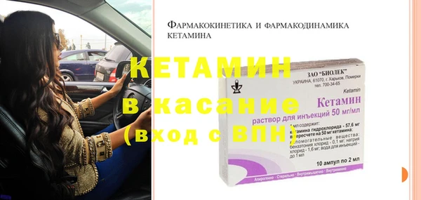 шишки Беломорск