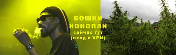 шишки Беломорск
