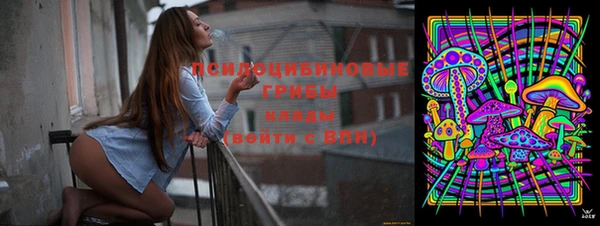 шишки Беломорск